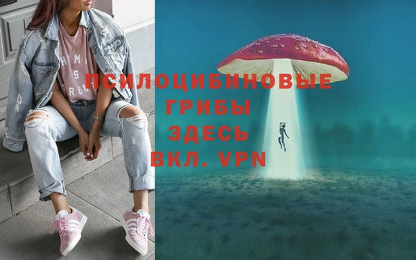 таблы Алзамай
