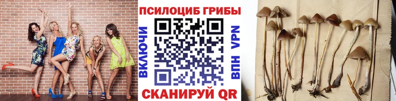 Псилоцибиновые грибы GOLDEN TEACHER  где продают наркотики  Холм 
